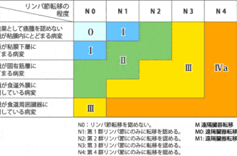 %ef%bd%94%ef%bd%8d%ef%bd%8e%e5%88%86%e9%a1%9e%e3%81%ae%e3%81%be%e3%81%a8%e3%82%81%e3%81%a8%e3%81%af%ef%bc%9f-2