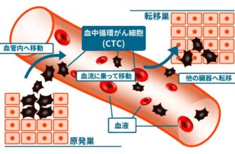 ctc%e6%a4%9c%e6%9f%bb%e3%81%a8%e3%81%af%ef%bc%9f%e3%81%aa%e3%81%ab%e3%81%99%e3%82%8b%e3%81%ae%ef%bc%9f-2