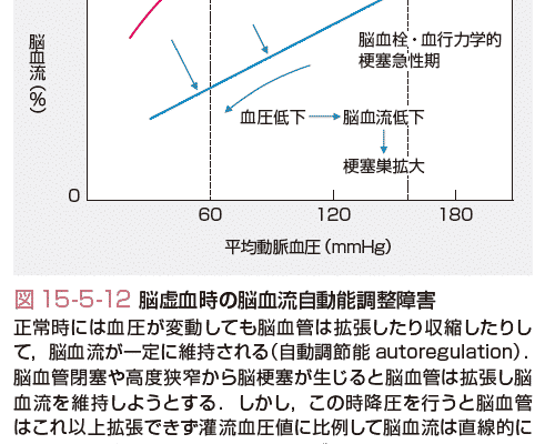 ｍｒａに関連する血流とは 血行力学について ギモンらど